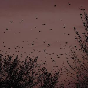 操逼图一区二区精品国产香蕉粉嫩
